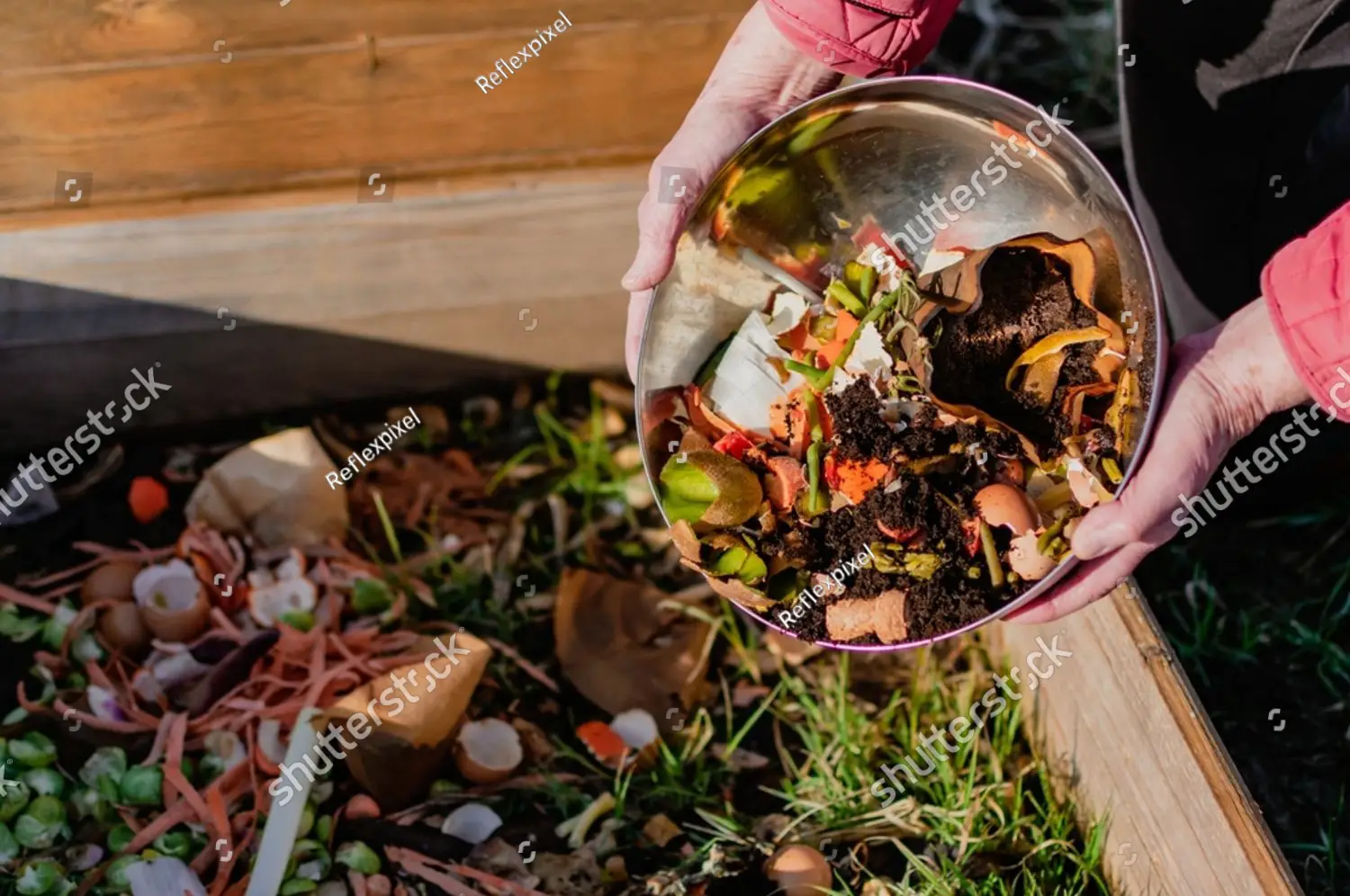 pair of hands holding a bucket of composting materials, fruit and vegetable scraps