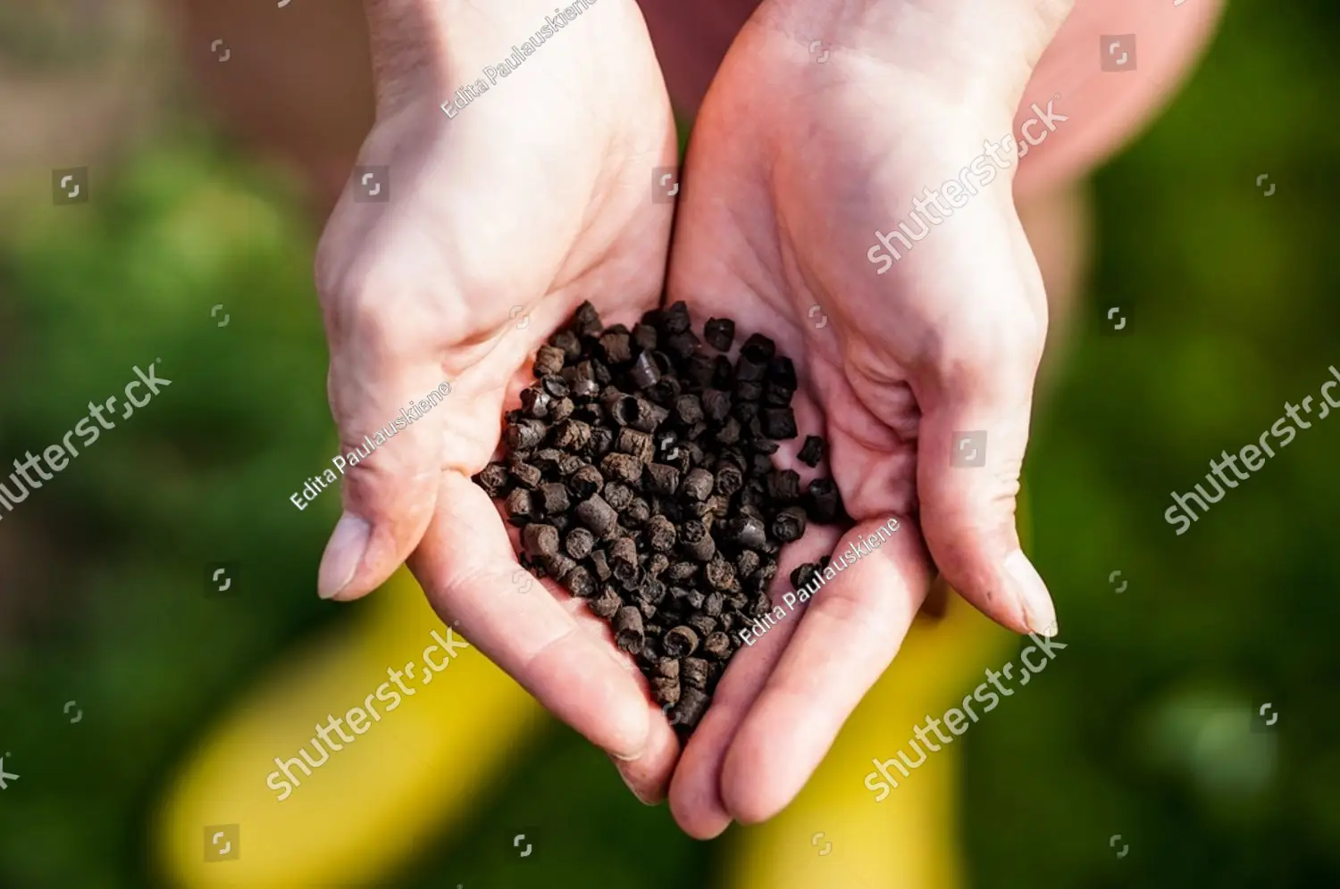 pair of hands holding organic fertilizer pellets