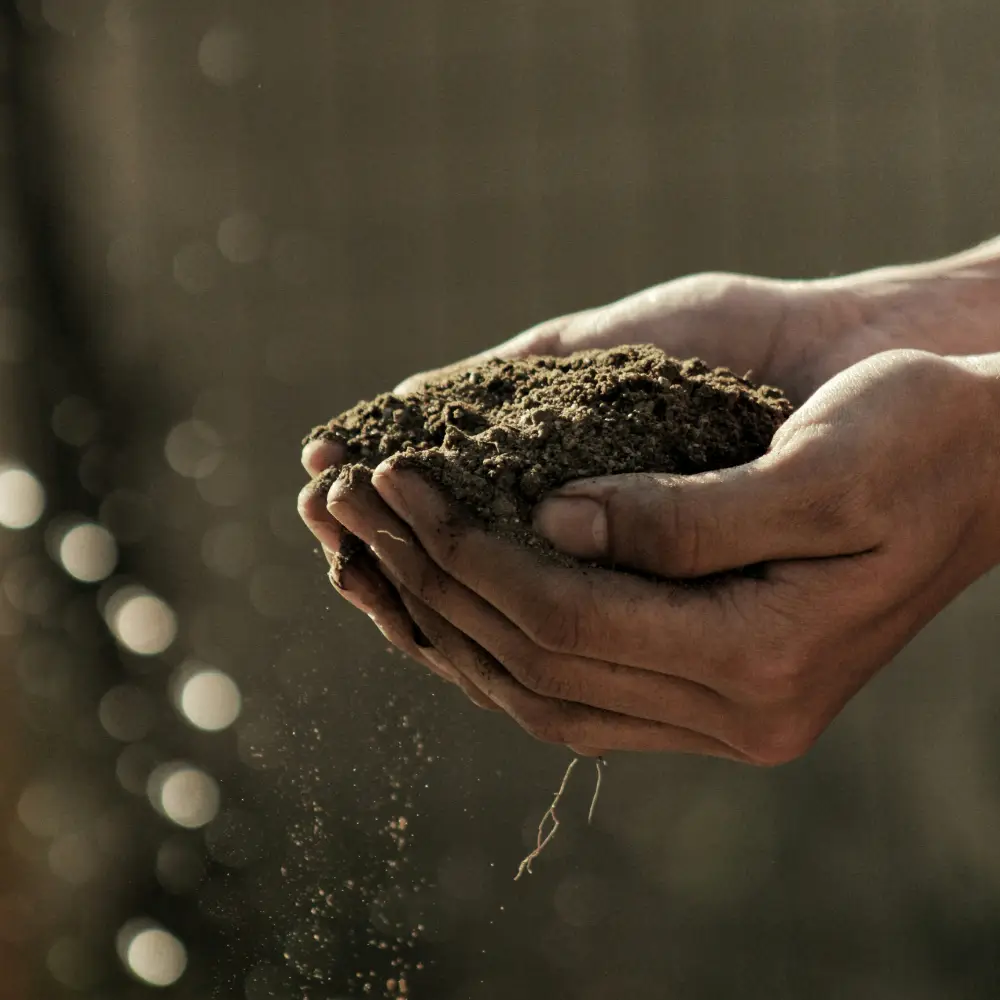 pair of hands holding manufactured soil