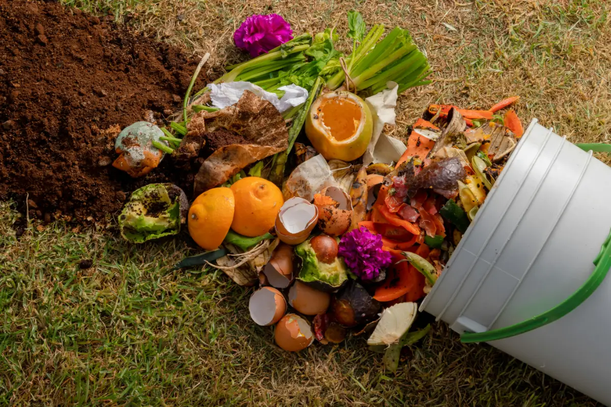 bucket of fruit and vegetable scraps used for composting
